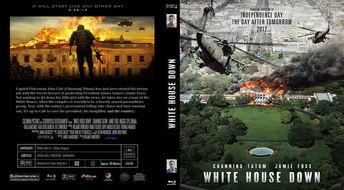 白宫坠落在线观看,揭秘政坛惊悚秘闻，在线观看惊心动魄